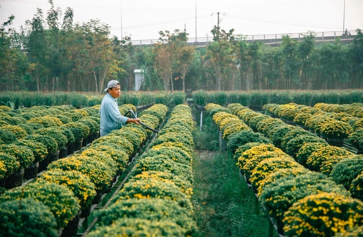 Xa nho tinh Dong Thap day manh chuyen doi so qua Zalo hinh anh