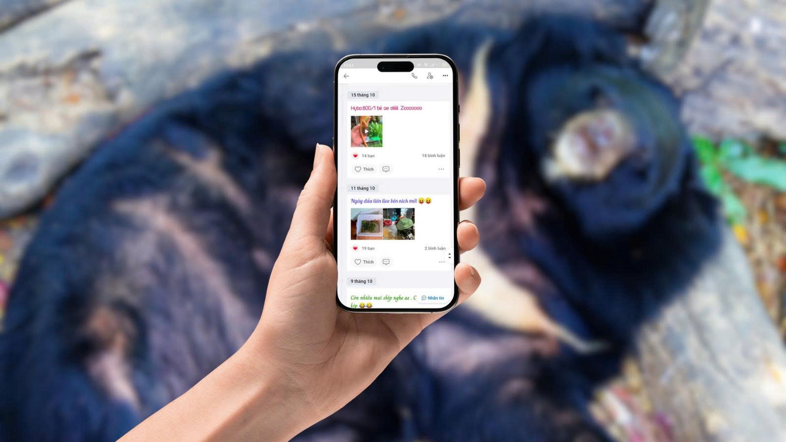 Ngan ngua buon ban dong vat hoang da tren Zalo hinh anh