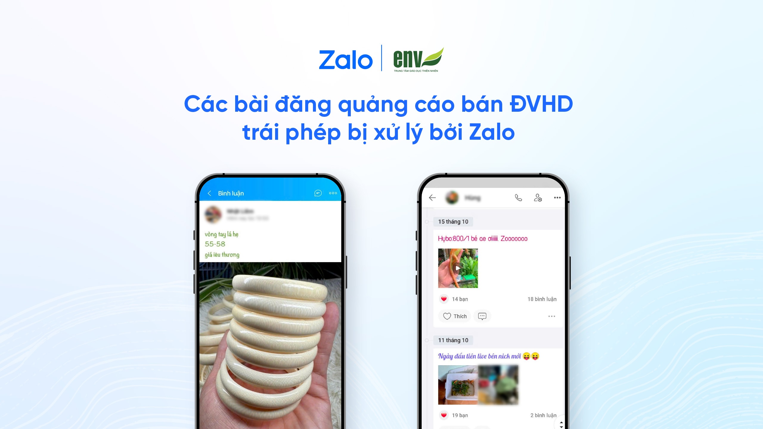 Zalo anh 2