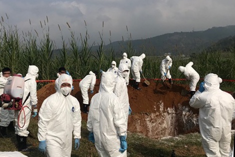 dich ta lon chau Phi anh 1