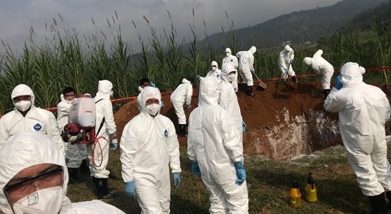 Ung pho khan cap voi dich ta lon chau Phi hinh anh