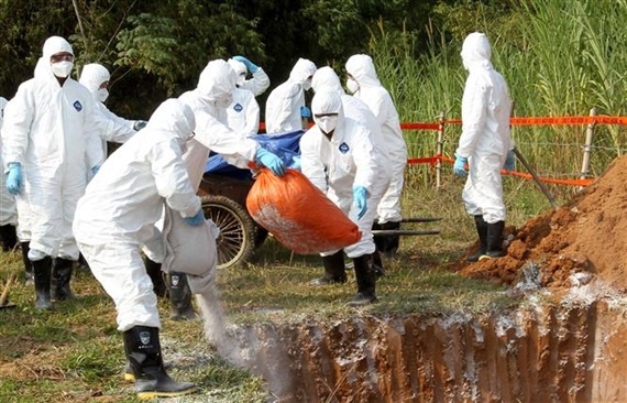 Dich ta lon chau Phi lan rong ra 9 tinh thanh hinh anh