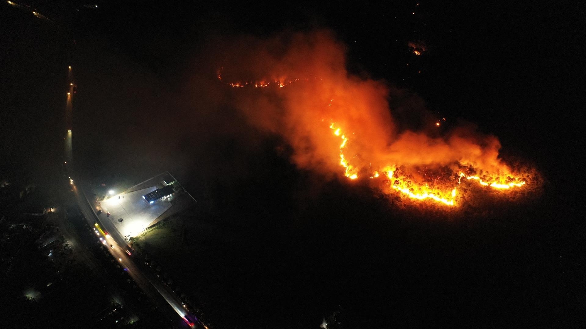 chay rung o Ha Tinh anh 8