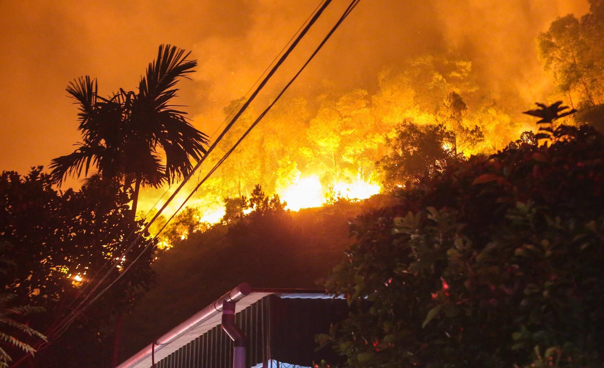 chay rung o Ha Tinh anh 1