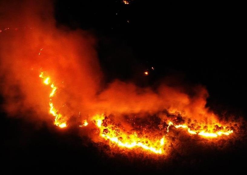 Chay rung o Ha Tinh, nguoi dan don do chay 'giac lua' trong dem hinh anh