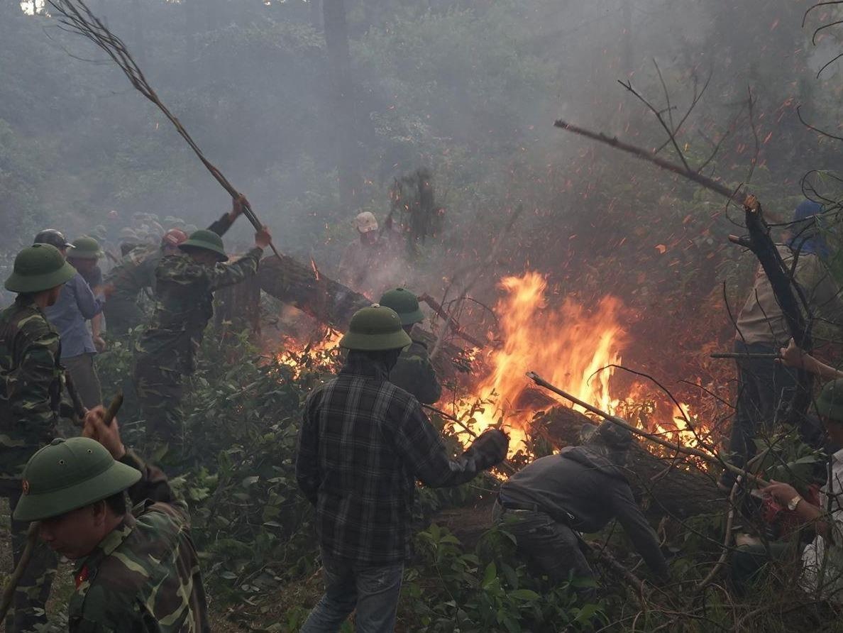 Trung Bo don 'mua vang' giua luc nang nong, chay rung hoanh hanh hinh anh