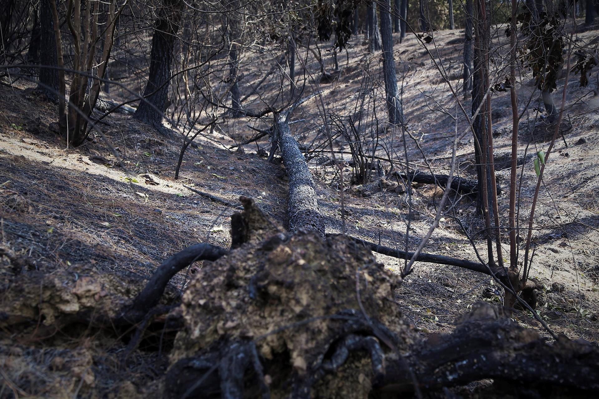 mưa bão ở miền Trung ảnh 1 mua bao o mien Trung anh 1