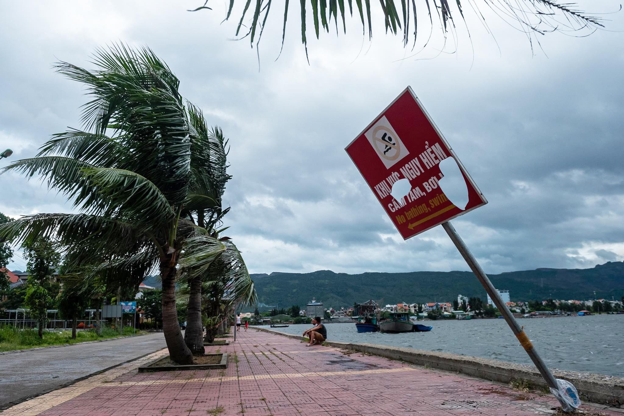 Viet Nam con don bao nhieu con bao trong nam 2019? hinh anh