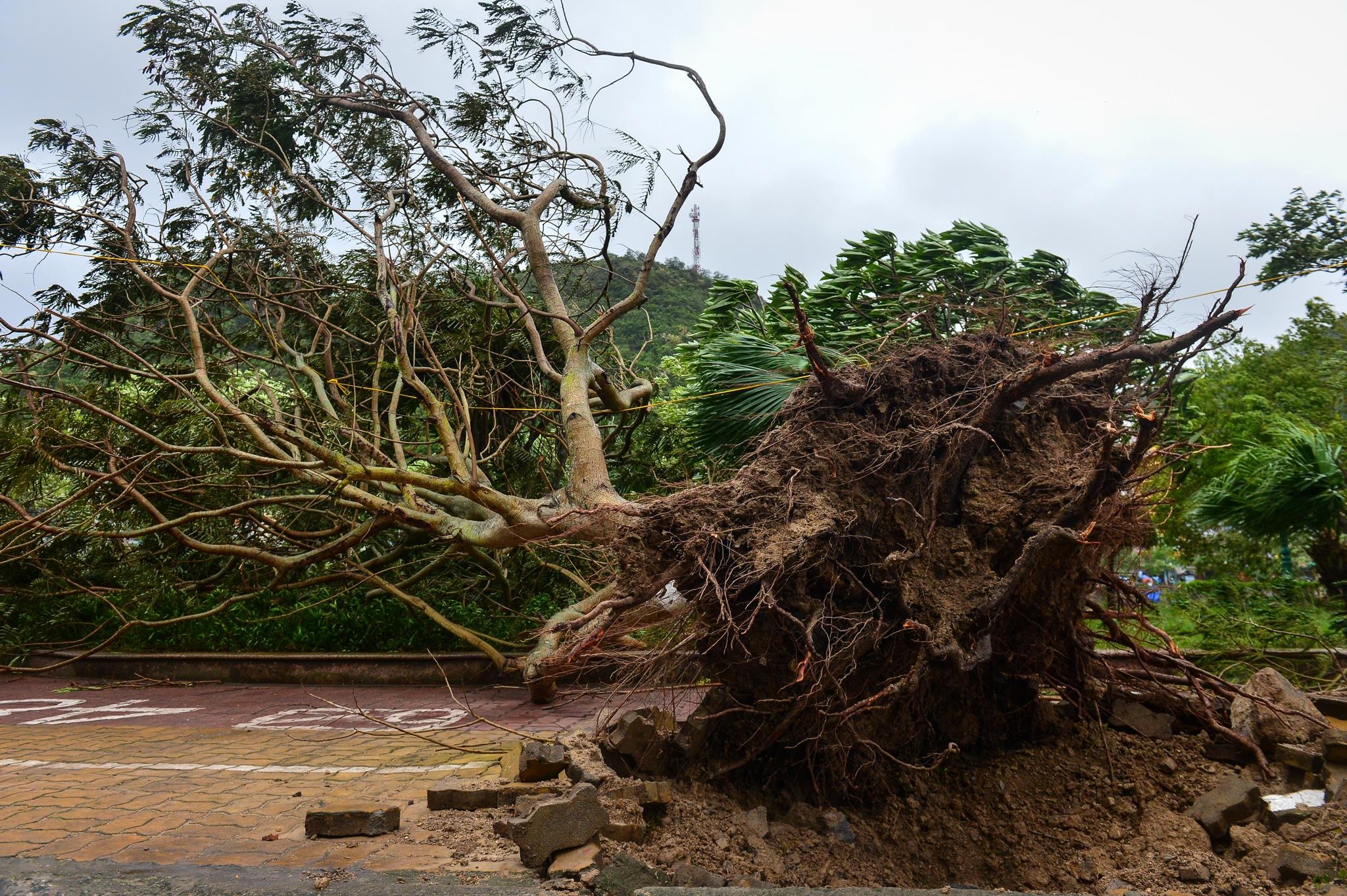 bão số 2 ảnh 2 bao so 2 anh 2