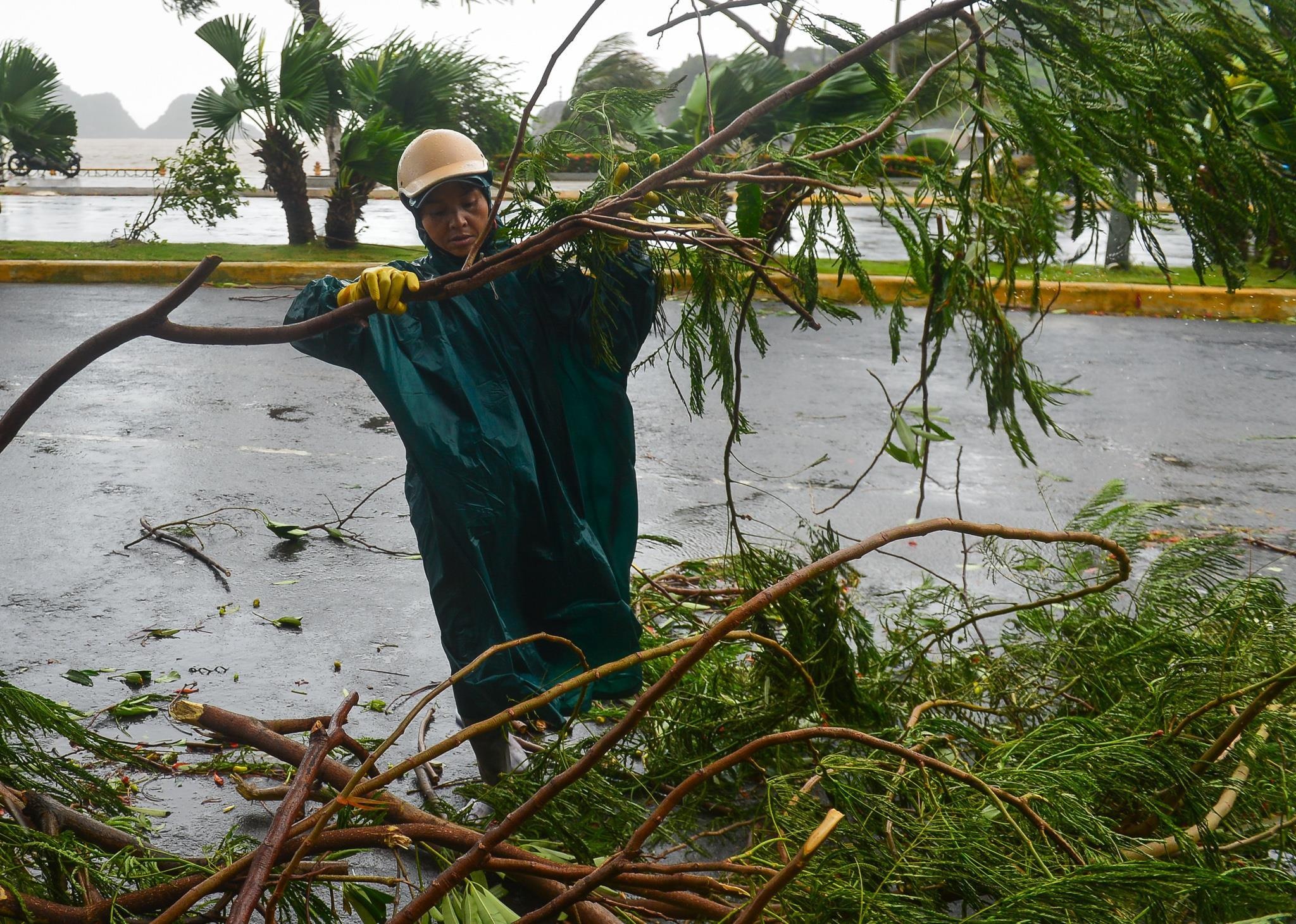 áp thấp nhiệt đới trên Biển Đông ảnh 2 ap thap nhiet doi tren Bien Dong anh 2