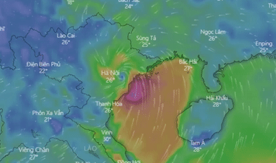Du bao duong di ngay 1/8 cua bao so 3 - Wipha hinh anh