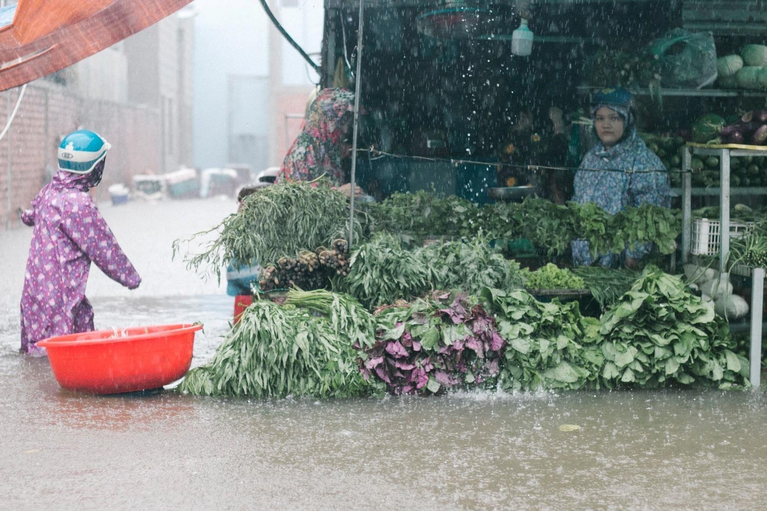 10 nguoi chet, thiet hai 1.000 ty dong do mua lu hinh anh