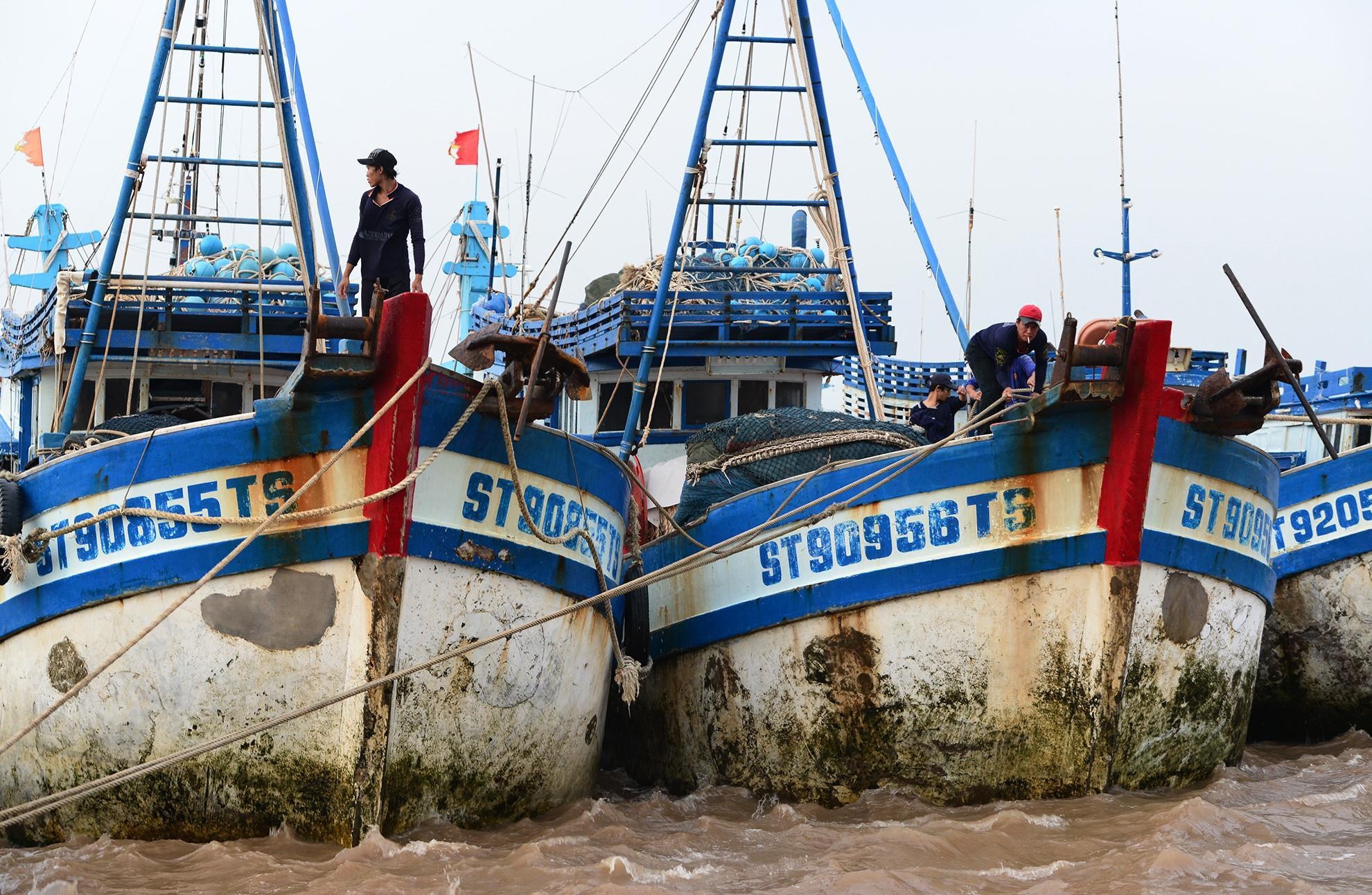 Tim thay 10 thuyen vien tau Thai Thuy bi mat lien lac hinh anh