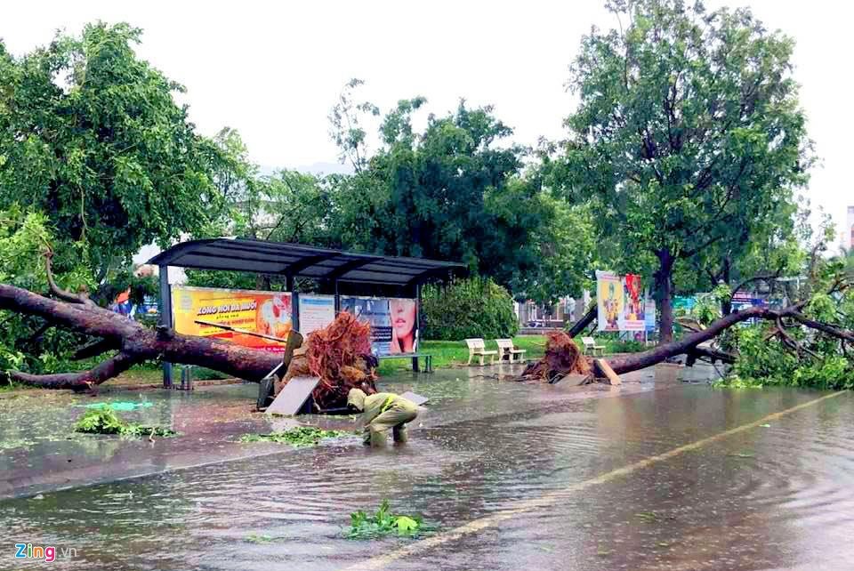 mưa lũ ở Trung Bộ khiến 1 triệu hộ dân mất điện ảnh 1 mua lu o Trung Bo khien 1 trieu ho dan mat dien anh 1