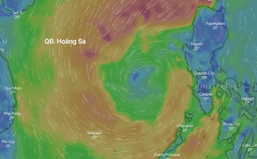 Du bao ngay 5/11 ve duong di cua ap thap nhiet doi hinh anh