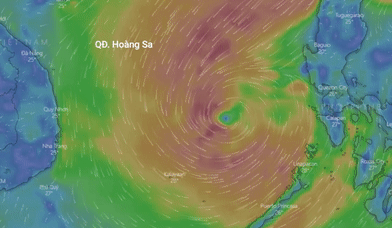 Duong di cua bao Nakri hinh anh