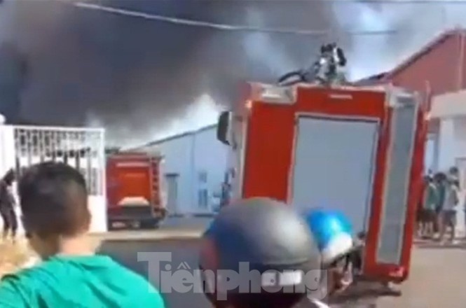 chay cong ty mut xop o Binh Duong anh 1