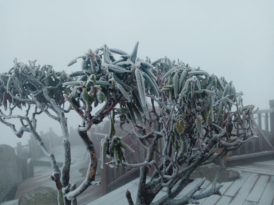 bang gia tren dinh Fansipan anh 4