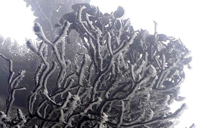 Bang gia phu trang dinh Fansipan sang mung 3 Tet hinh anh