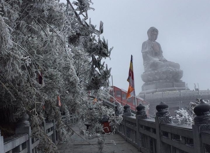 bang gia tren dinh Fansipan anh 8