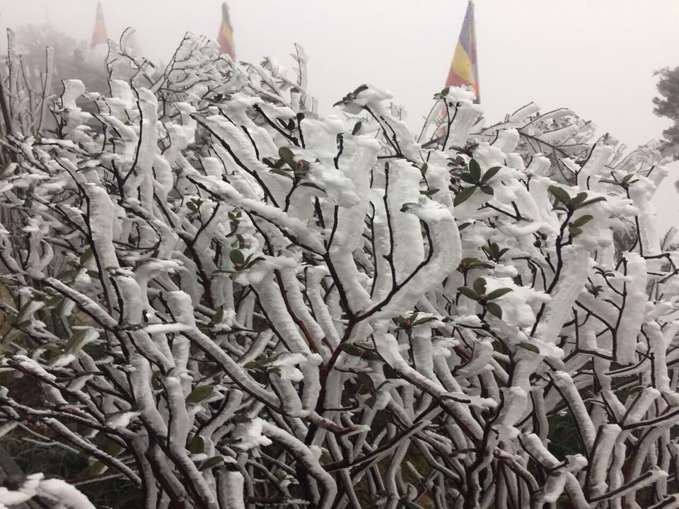 bang gia tren dinh Fansipan anh 7