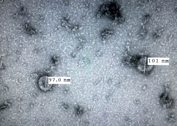 WHO danh gia cao Viet Nam ve chong dich corona anh 2