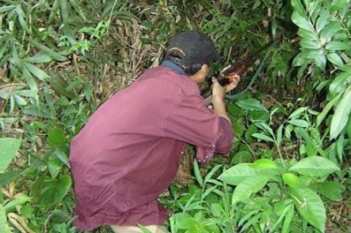 Tho san tu vong do dan xuyen thau bung hinh anh