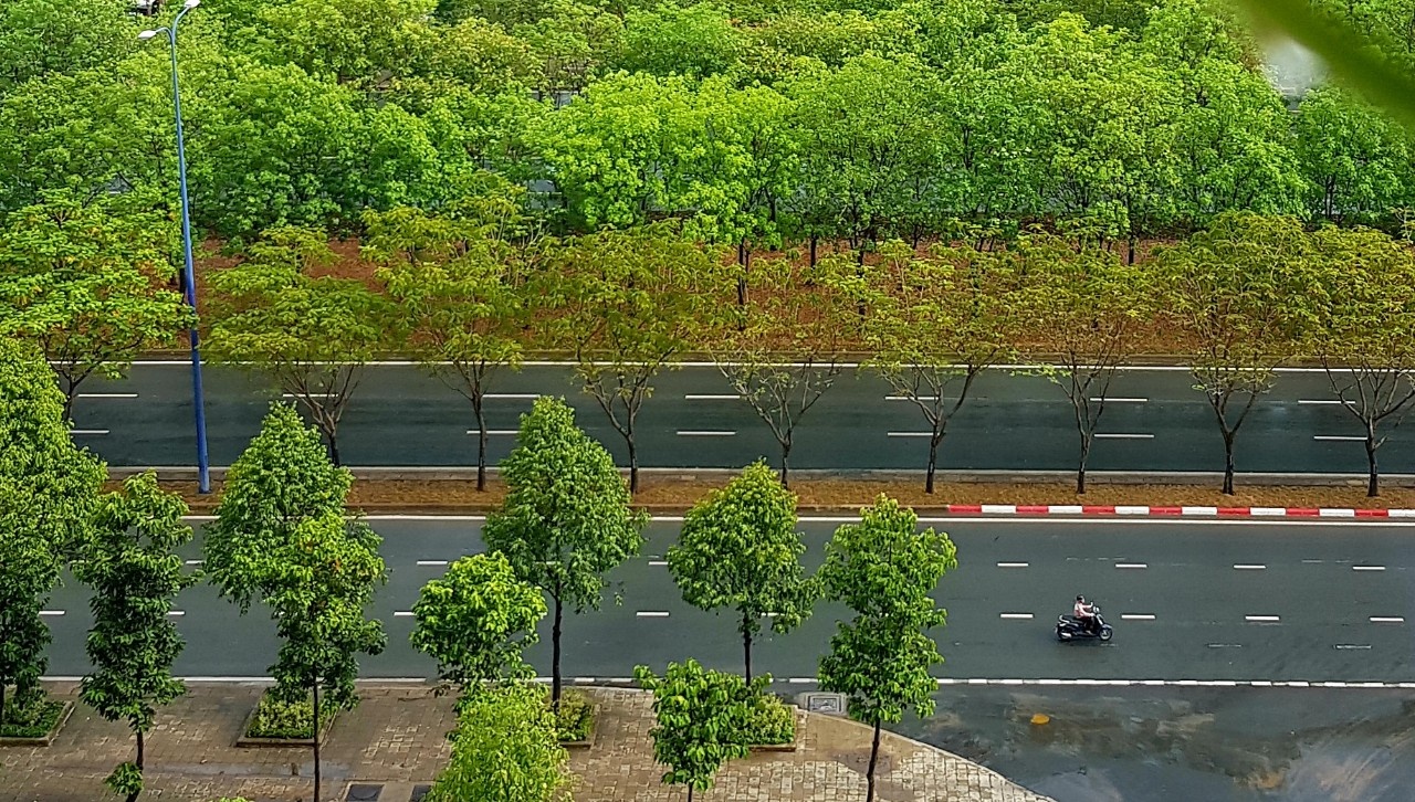 mua mua o Nam Bo anh 1