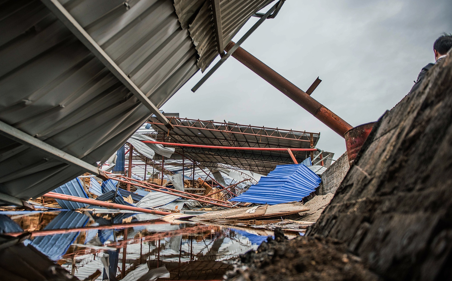 5 phut sinh tu o xuong go bi loc cuon sap hinh anh