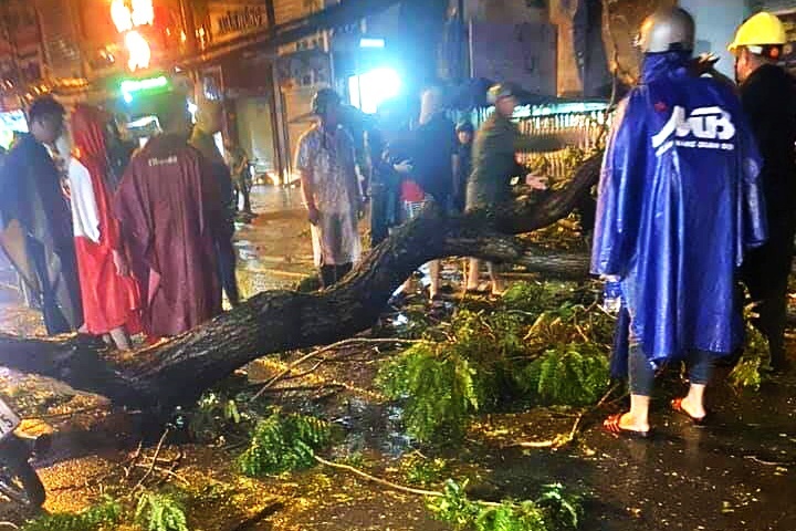 Mien Nam hung chiu hon 140 tran dong loc nam 2019 hinh anh