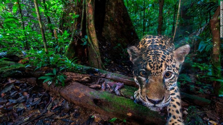 OECM: Co hoi moi cho bao ton thien nhien o Viet Nam hinh anh