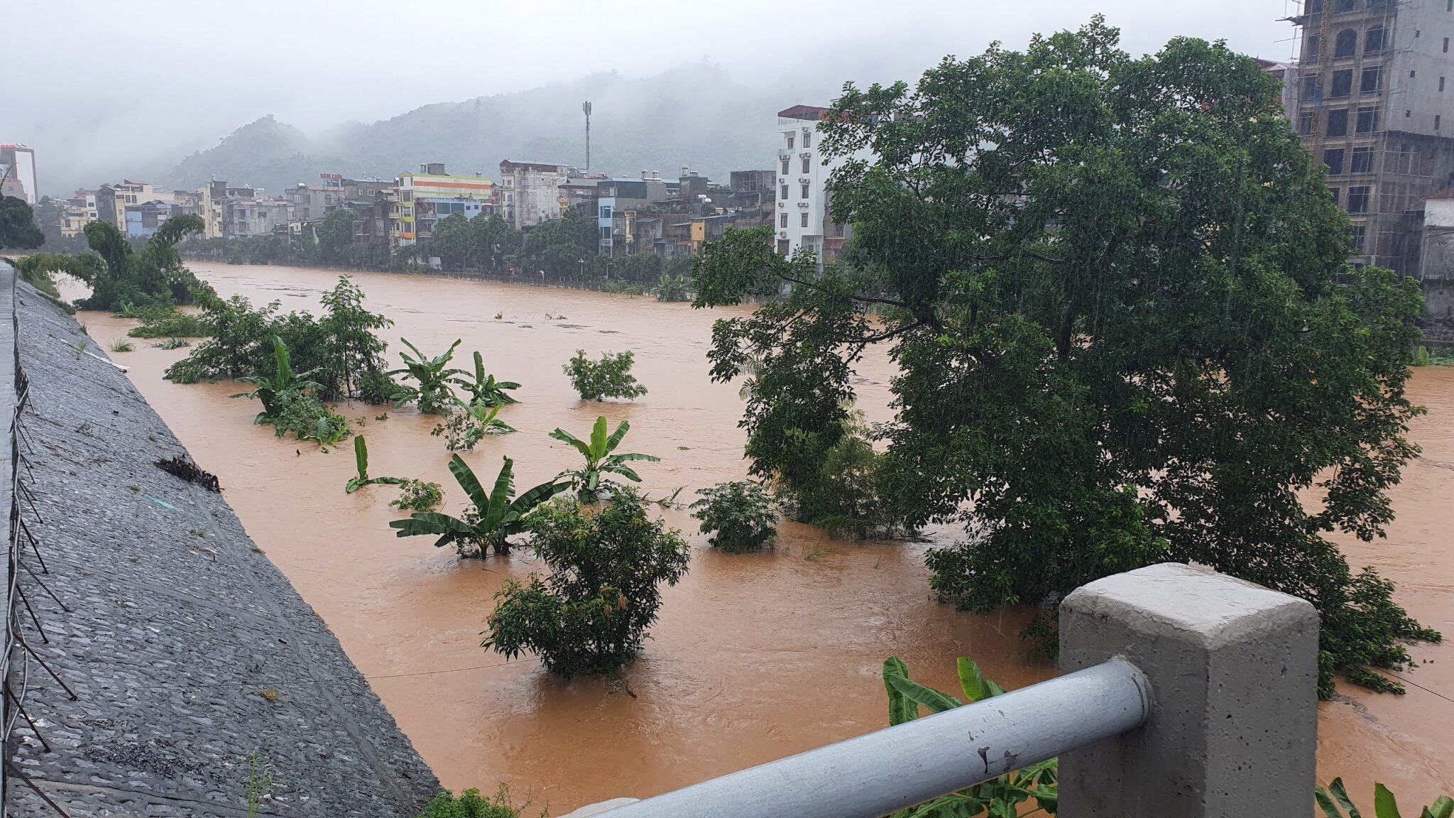 ap thap nhiet doi tren Bien Dong anh 2