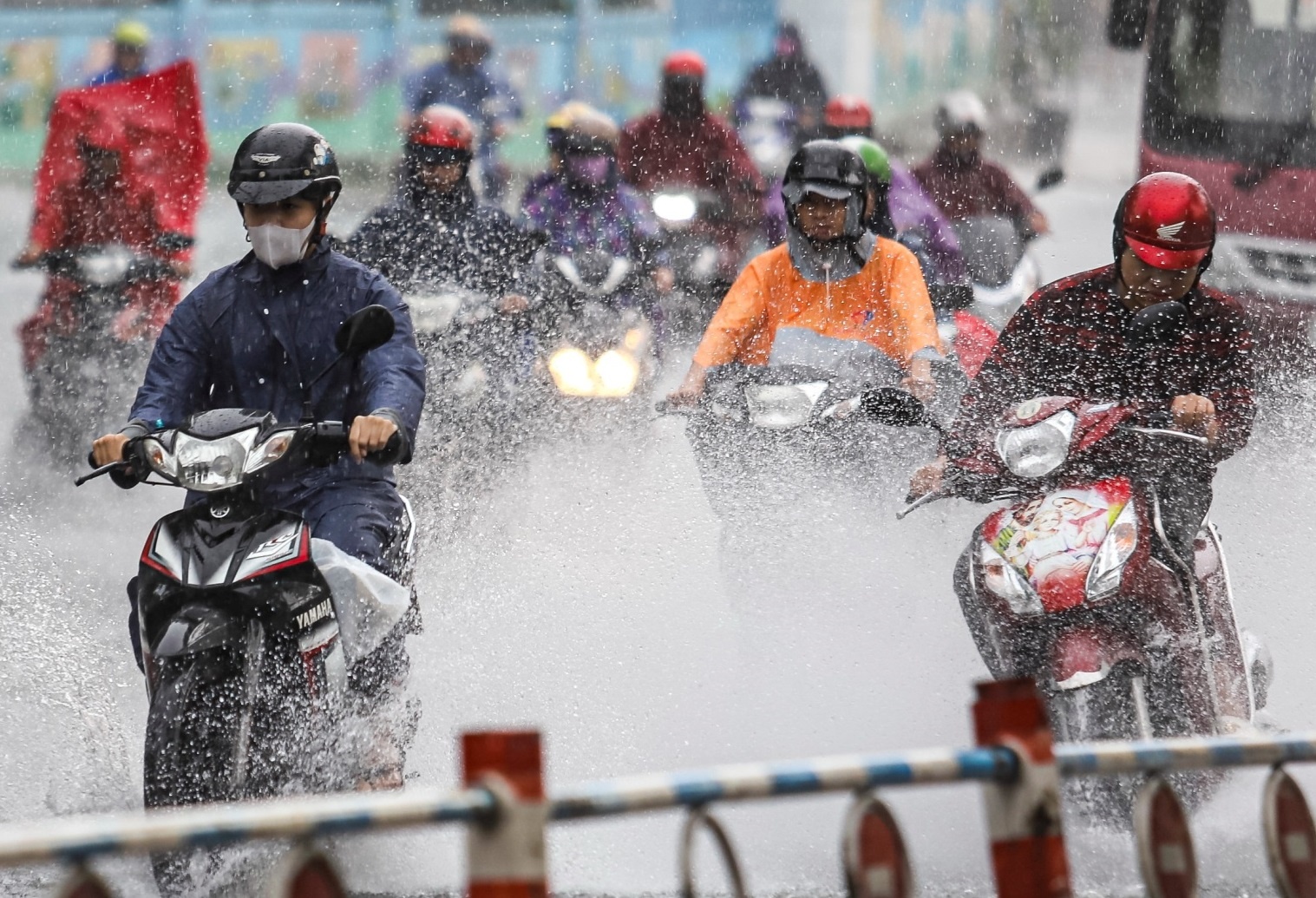 Mien Bac mua ca tuan hinh anh