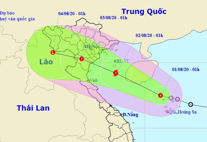 bao do bo vao mien Bac anh 1