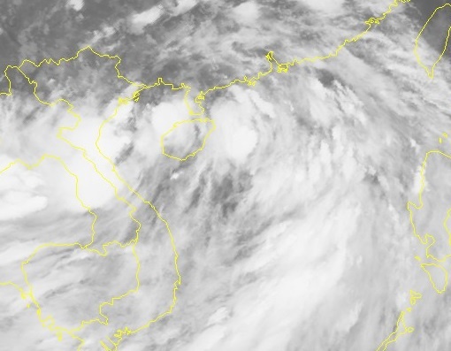 Bao so 2 kho luong hinh anh