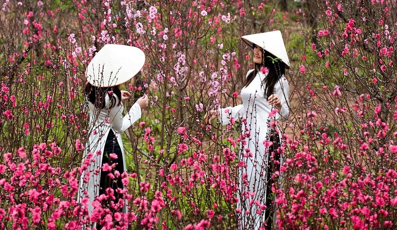 Hai phuong an nghi Tet Nguyen dan 2021 hinh anh