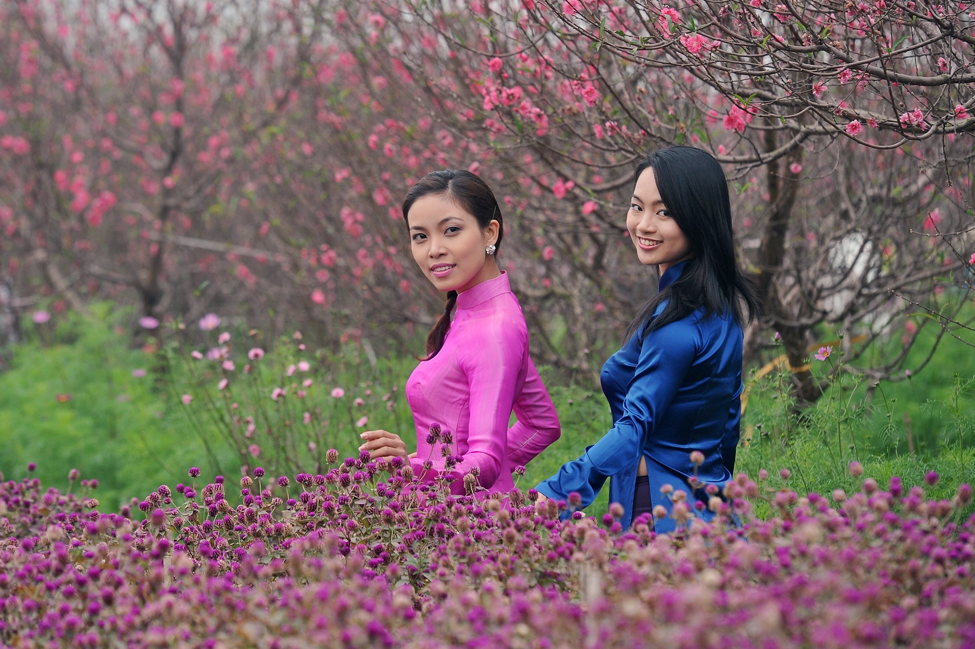 phuong an nghi Tet nguyen dan 2021 anh 1