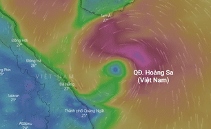 Du bao duong di, khu vuc do bo cua bao so 5 hinh anh