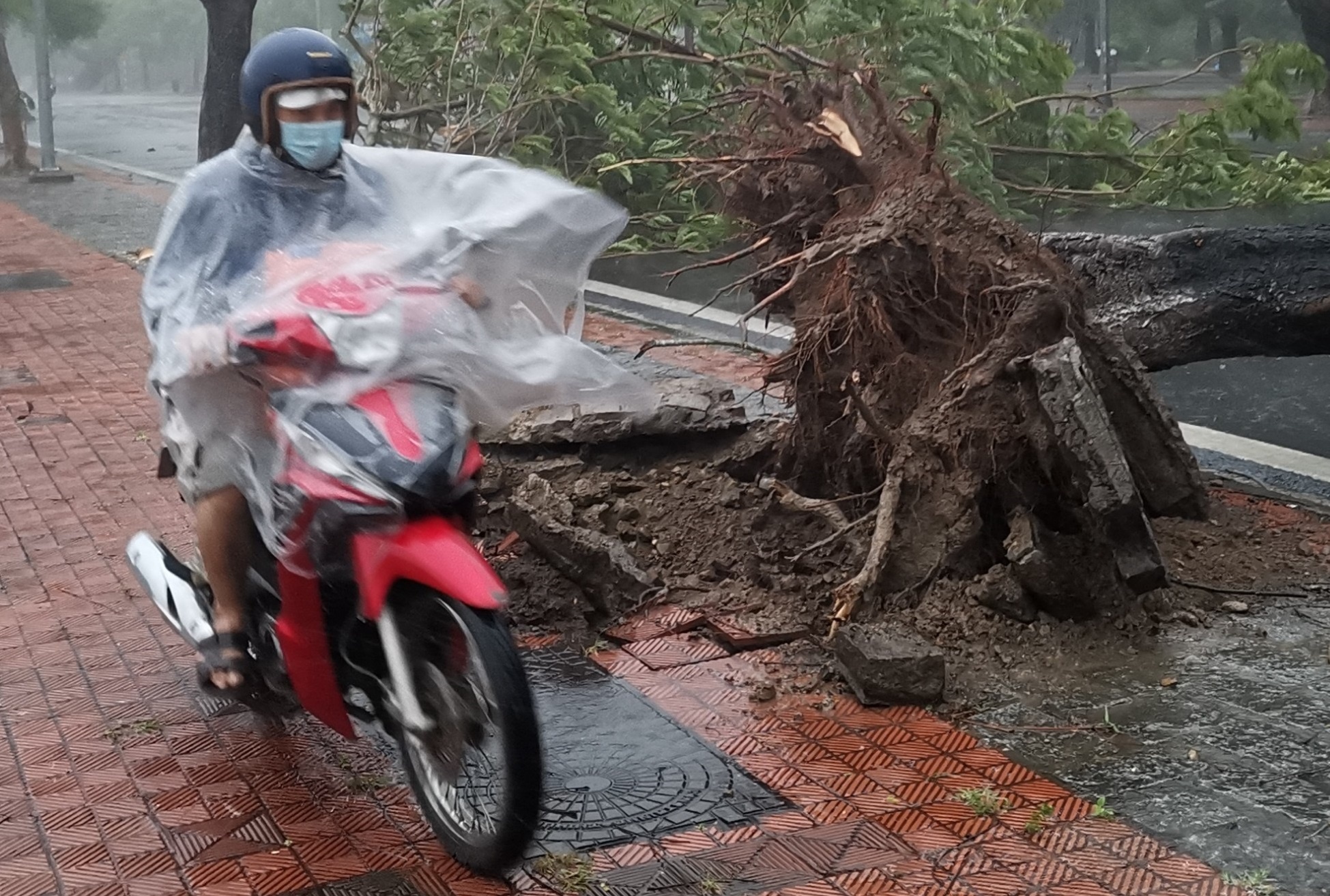 Them 3 nguoi chet do bao so 5 hinh anh