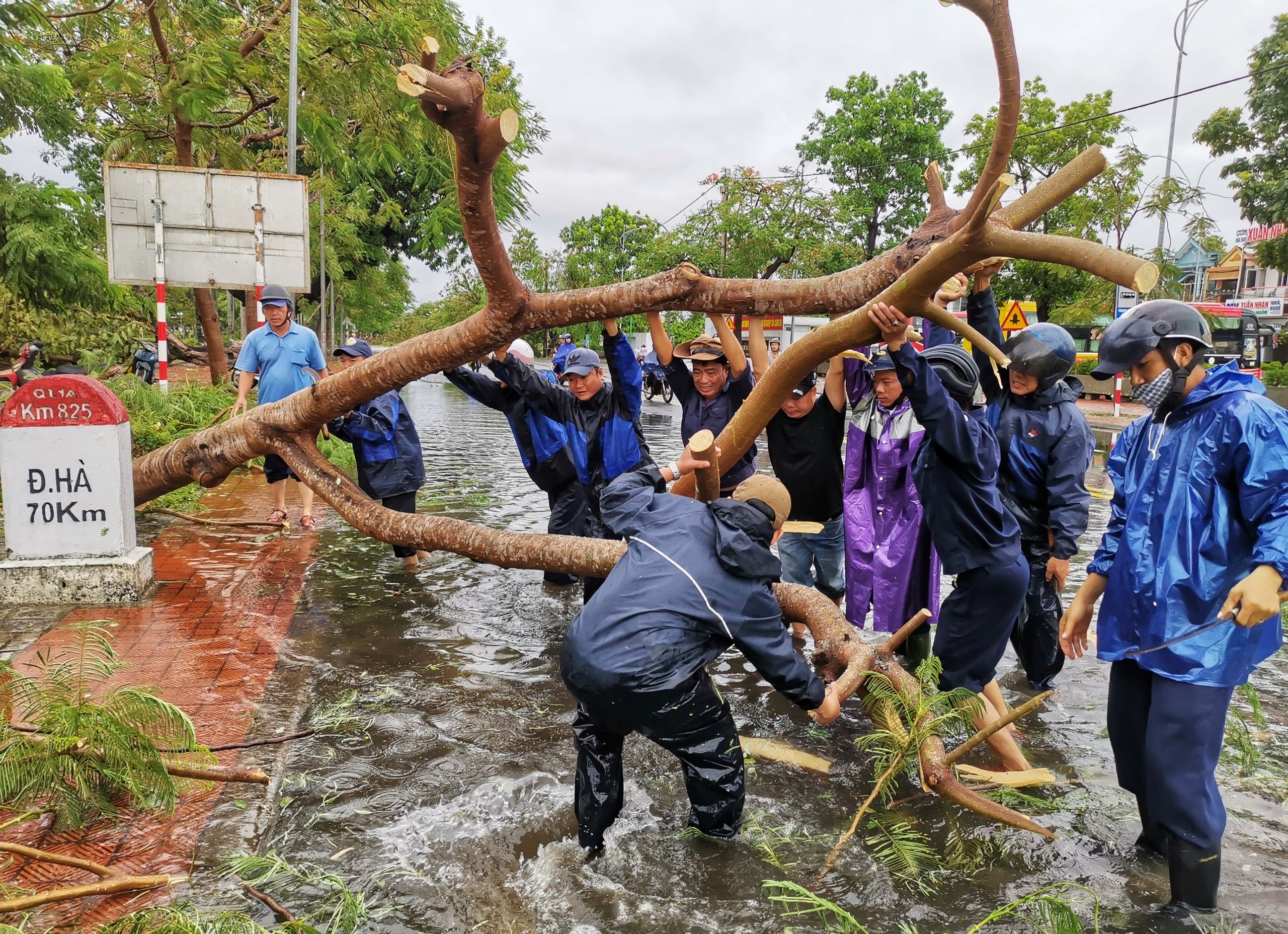 Bao so 5 suy yeu thanh ap thap nhiet doi hinh anh