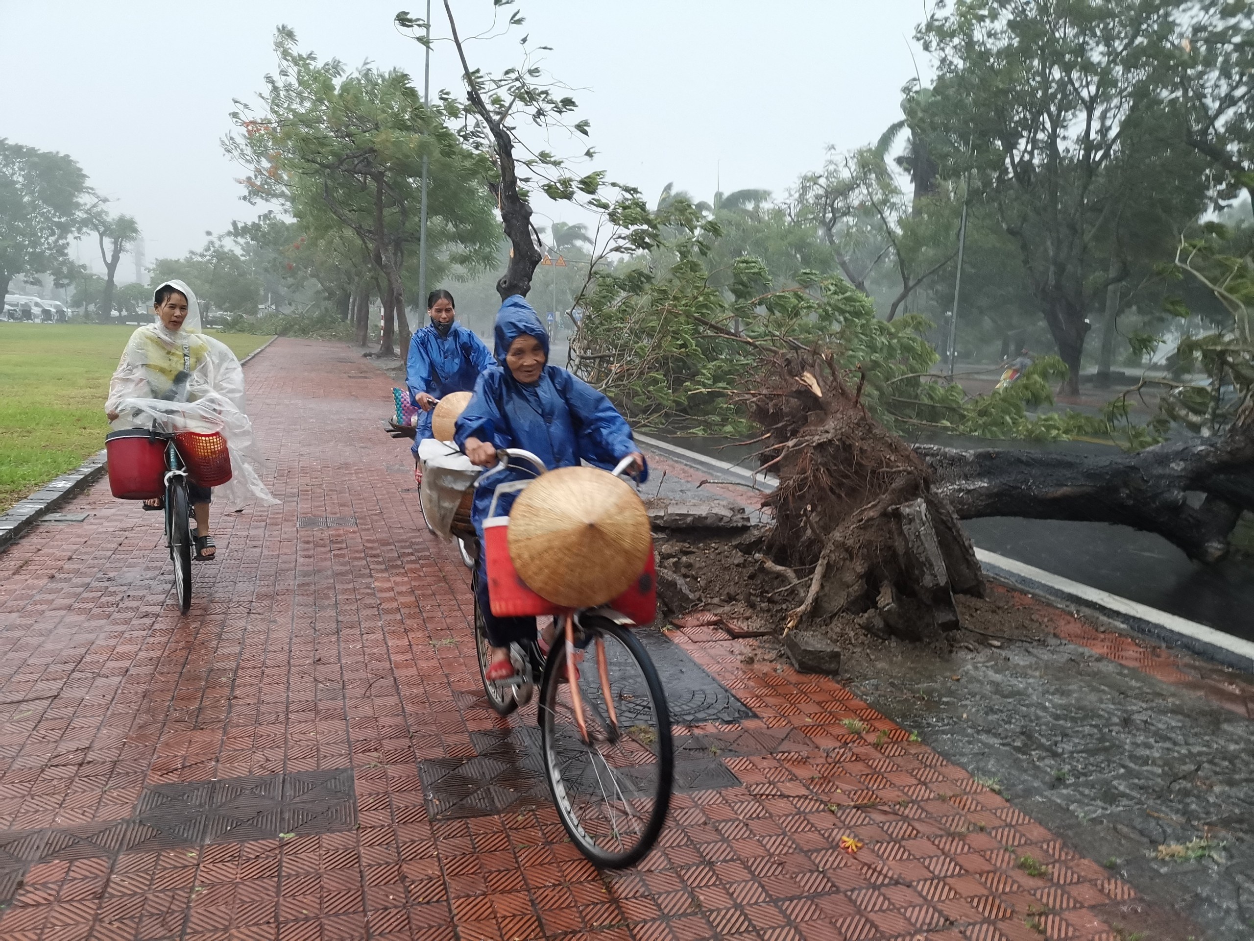 6 nguoi chet do bao so 5 anh 1