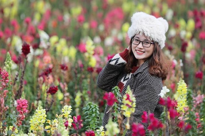 Ha Noi se lanh 2 ngay cuoi tuan hinh anh