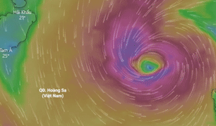 Du bao duong di cua bao so 8 - Saudel hinh anh