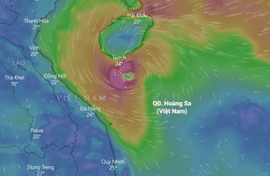 Duong di cua bao so 8 sap vao dat lien hinh anh