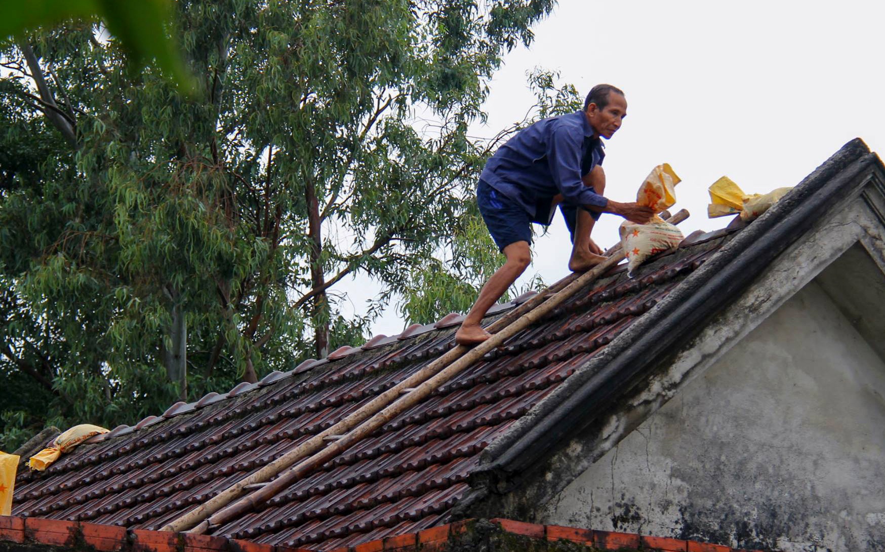 bao so 9 Molave do bo dat lien mien Trung anh 1