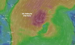 Du bao duong di cua bao so 10 hinh anh