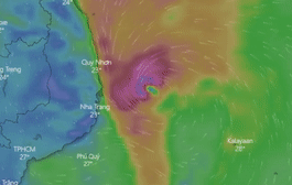 Du bao duong di cua bao so 12 hinh anh