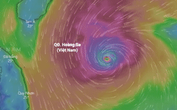 Du bao duong di cua bao Vamco khi vao Bien Dong hinh anh