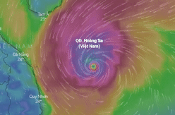 Du bao duong di cua bao so 13 truoc khi do bo Ha Tinh - Quang Ngai hinh anh