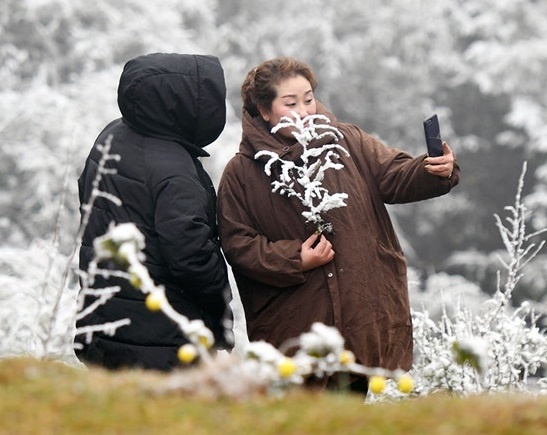 ret dam o mien Bac anh 1